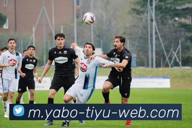 亚博体育服务体系